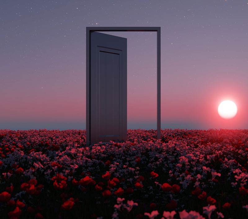 όνειρο με μια ανοιχτή πόρτα σε ένα λιβάδι 