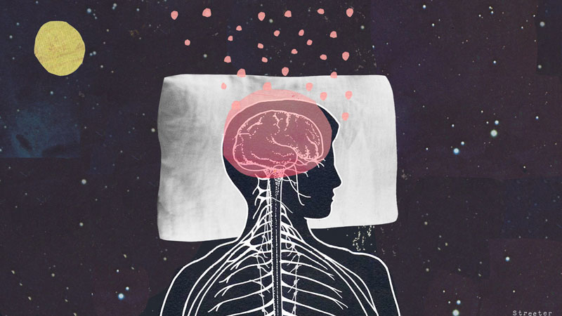 ανθρώπινος εγκέφαλος όταν κοιμάται τη νύχτα