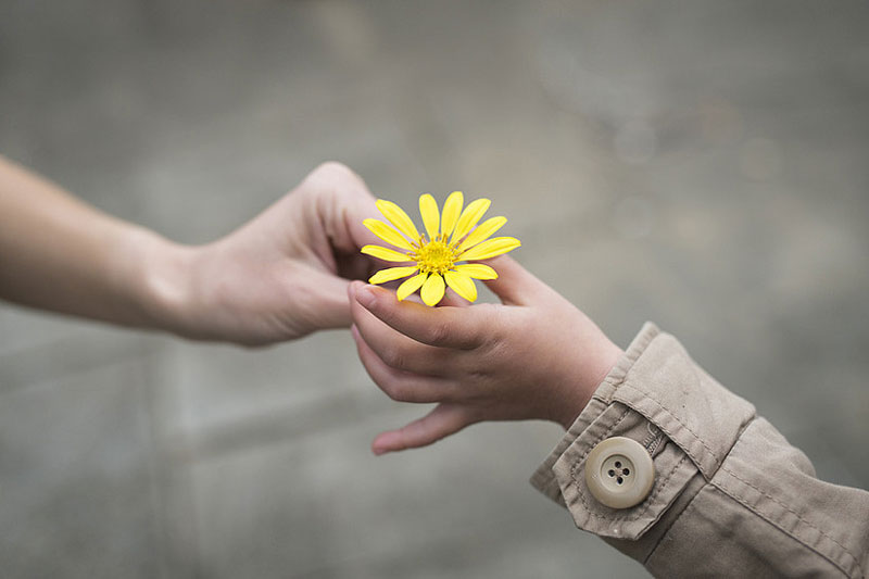 ένα παιδί προσφέρει ένα κίτρινο λουλούδι σε ένα ενήλικο