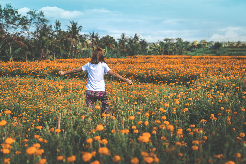 γυναίκα περπατάει μέσα σε ένα λιβάδι με πορτοκαλί λουλούδια