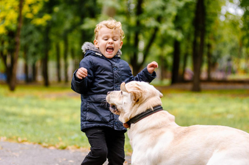 παιδί φοβισμένο μπροστά σε ένα σκύλο