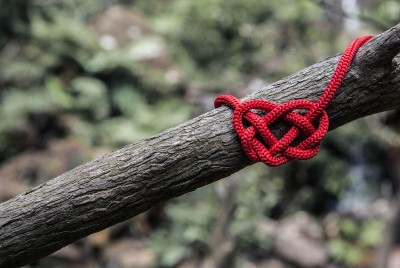 σχοινί σε σχήμα καρδιάς δεμένο σε ένα κλαδί