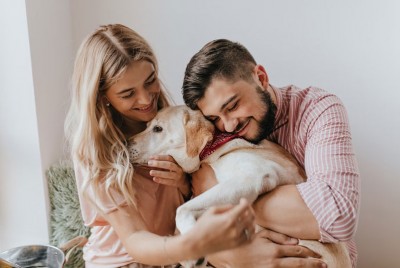 χαρούμενο ζευγάρι με κατοικίδιο ένα σκύλο