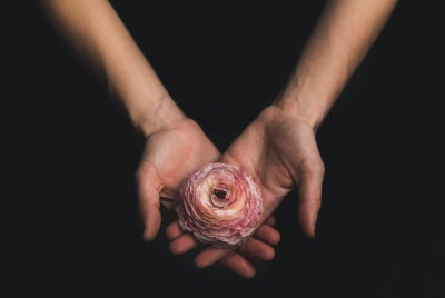 δύο χέρια κρατάνε ένα άνθος λουλουδιού
