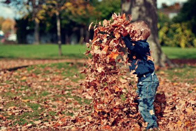 παιδί παίζει πετώντας φύλλα στον αέρα