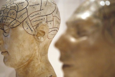κεφάλια από ανθρώπινες κούκλες που έχουν σχηματίσει με στυλό πεδία στον εγκέφαλο