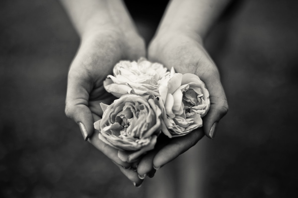 δυο χέρια που κρατούν τριαντάφυλλα
