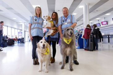 Αεροδρόμιο στη Σκοτία αξιοποιεί σκύλους θεραπείας για να χαλαρώνουν όσους φοβούνται τα αεροπλάνα