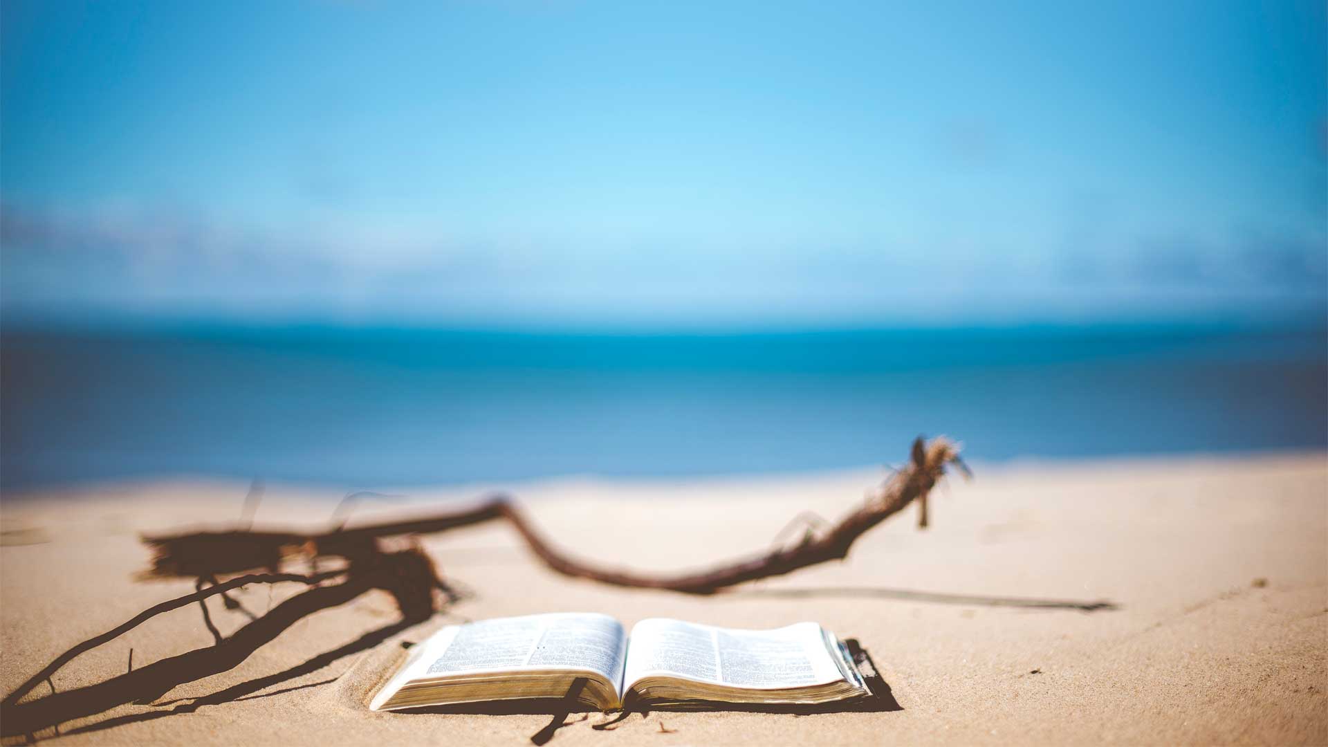 ένα βιβλίο, ένα ξερό κλαδί στην παραλία και μπροστά η θάλασσα